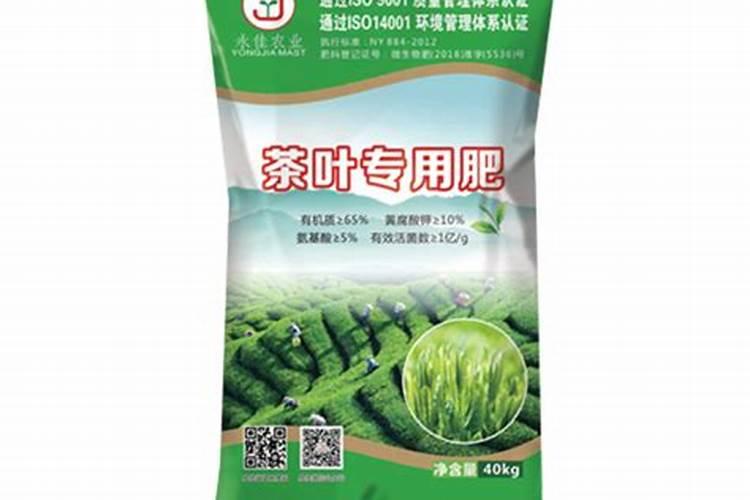 铁皮石斛施什么肥最好