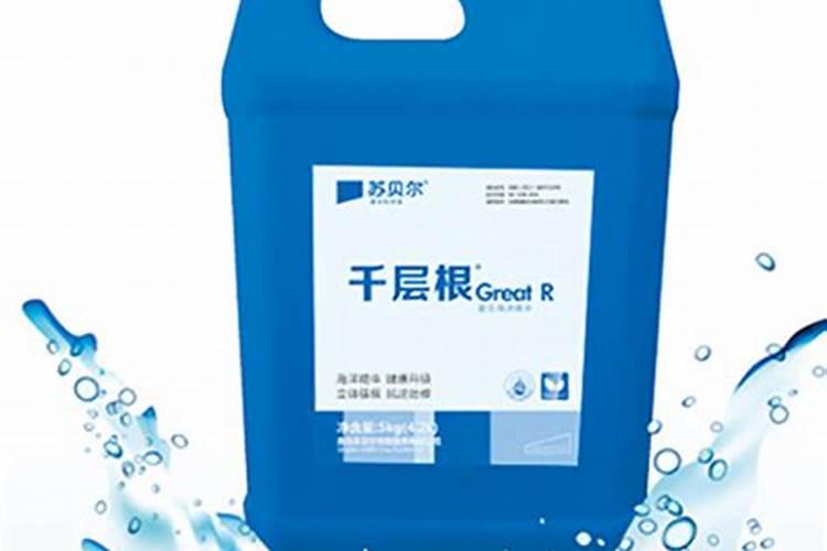 新栽玫瑰多久浇水一次 新栽玫瑰多长时间浇水一次