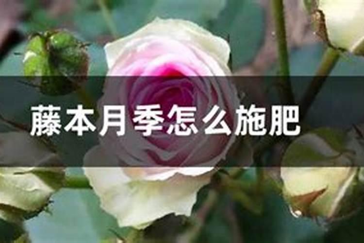 磷肥与钙肥混用有害吗