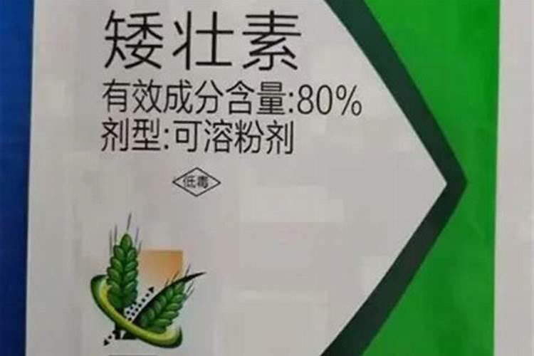 玉米矮壮素打了几个小时下雨就没事了,矮壮素能与叶面肥一起打吗