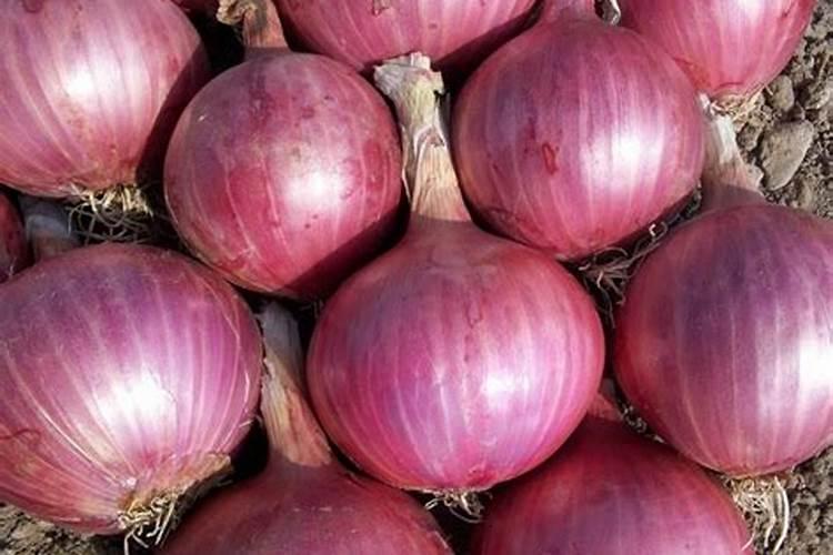 腌制咸菜时,10斤蔬菜应放多少斤盐？同时过了沸水后的蔬菜,在腌制时除放...