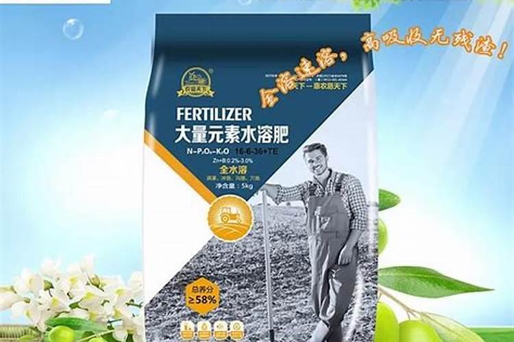 大蒜用什么肥料生根快？