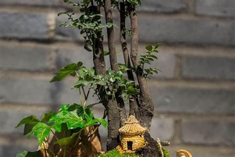 目前市面上大量元素水溶肥质量参差不齐,价格差别较大,主要原因有...