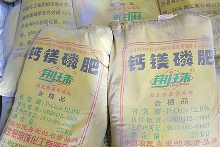 自制的鱼骨粉养花怎么用？