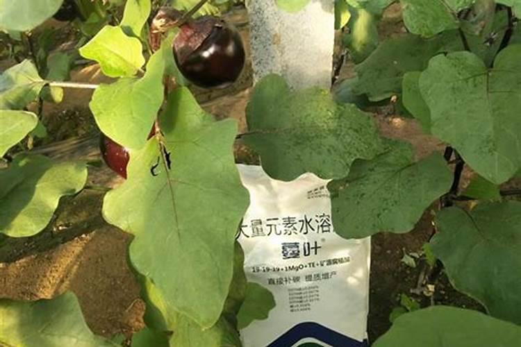 矿源黄腐酸钾在什么情况使用效果才最好呢？