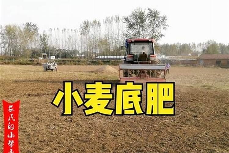 磷肥一亩地施多少 进来看看
