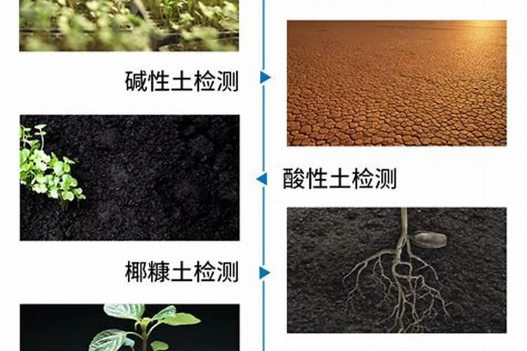 用树叶做钾肥好,还是腐烂以后做有机肥好？如何有效利用