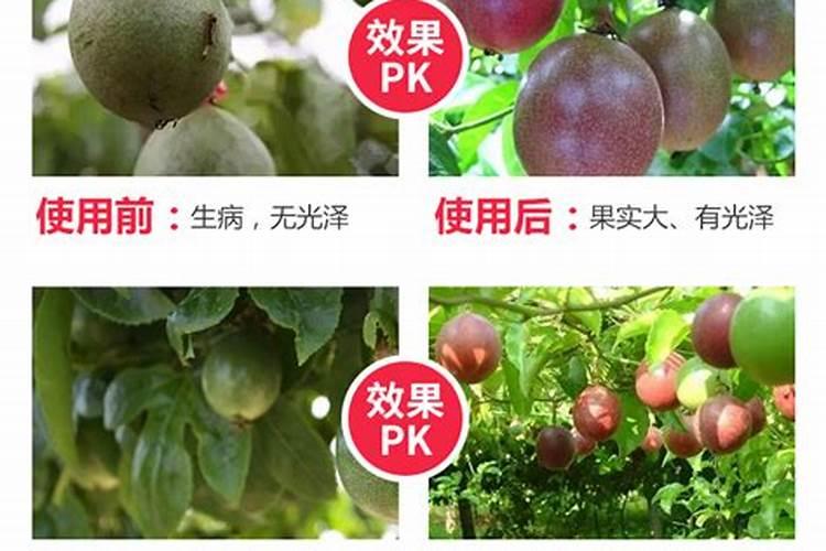 百香果施什么肥才能结果多？