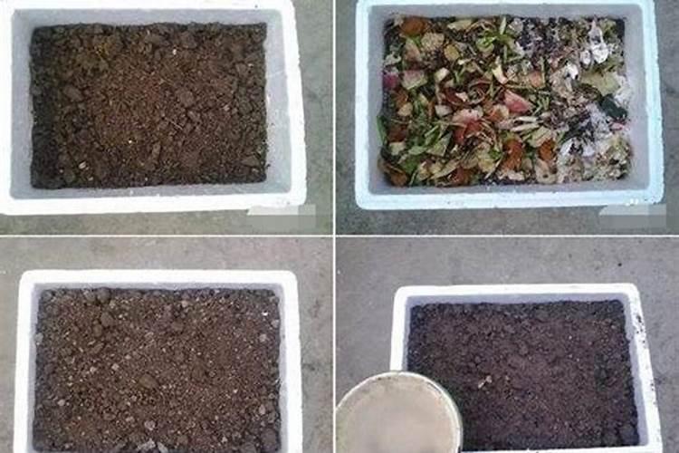 家庭养花如何制作氮磷钾肥(氮磷钾肥自制原料及方法)