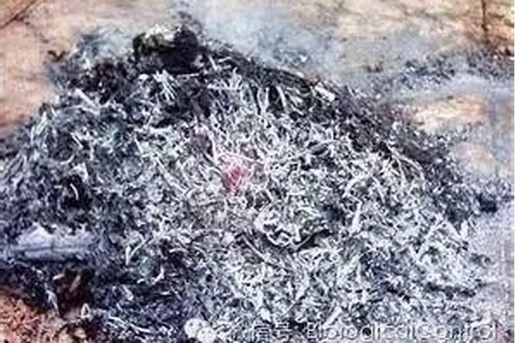 自制氮、磷、钾肥等养花常用肥料,都需掌握哪些知识？