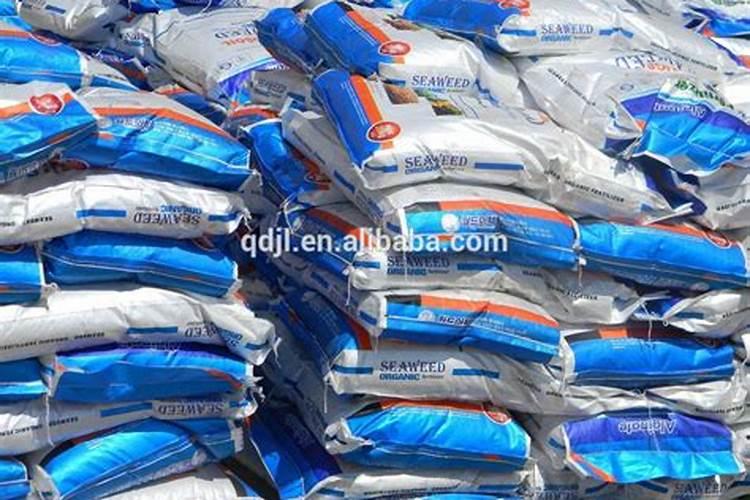 条斑紫菜的条斑紫菜育苗技术要点