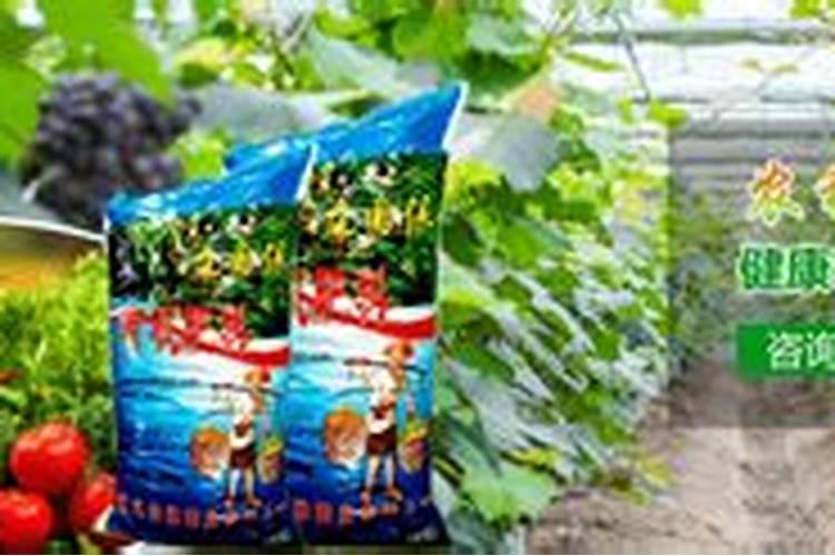 绣球花底肥放什么肥好