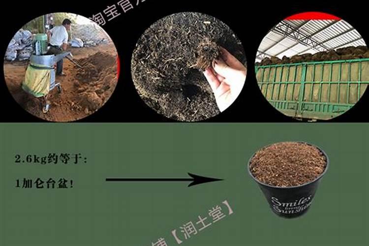 中国前十位生产硫酸钾复合肥厂家是什么名称
