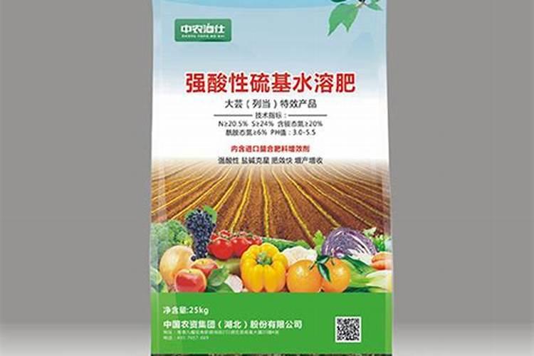 常见的猪饲料添加剂有哪些