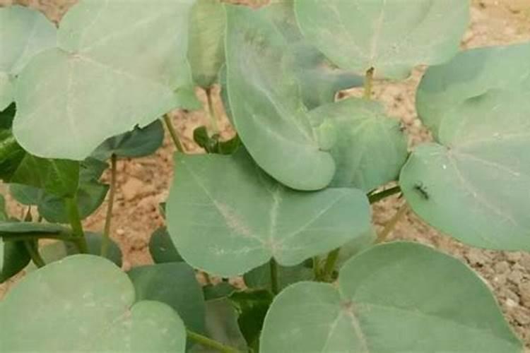 交城县创伟科技开发有限公司是做什么的