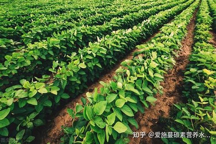 水溶肥是用什么原料配成的