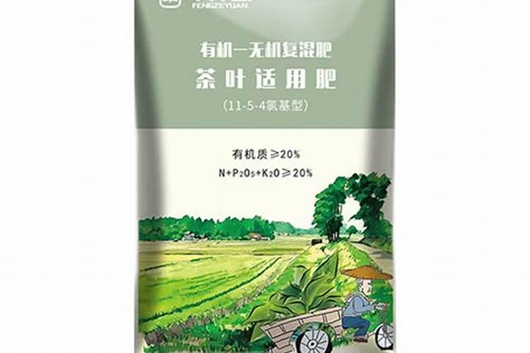 茶叶用什么化肥好