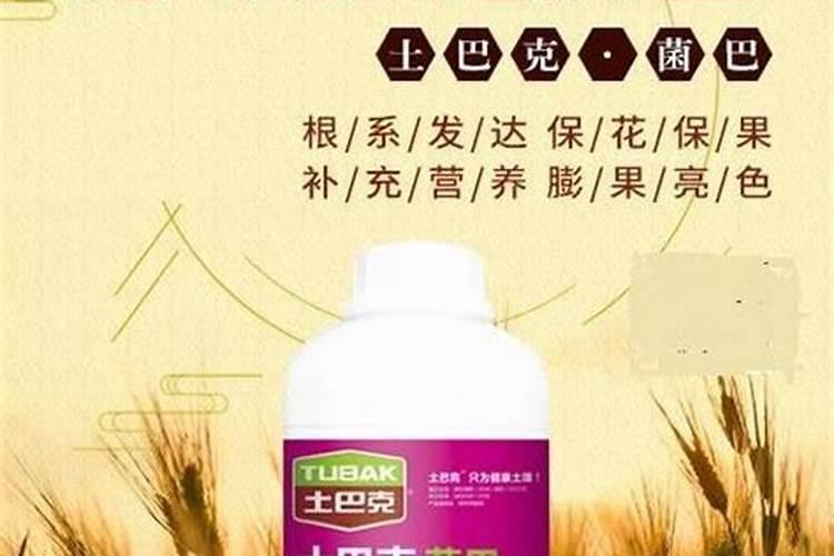 钙镁肥的正确使用方法