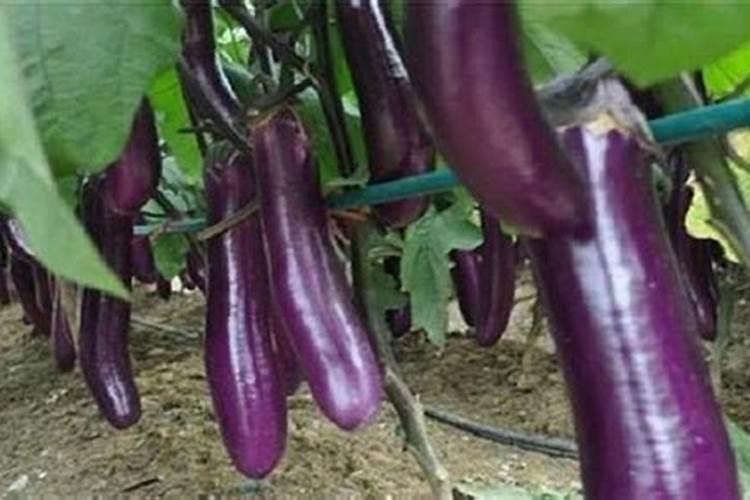 中国哪个市物价贵