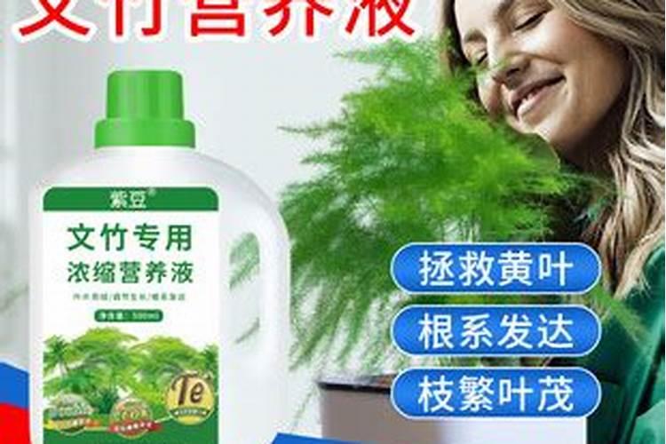 养花的营养液怎么用