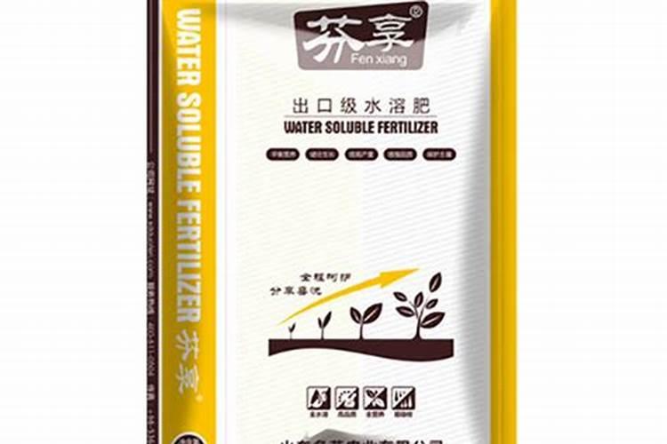 烧烤用的碳有没有毒