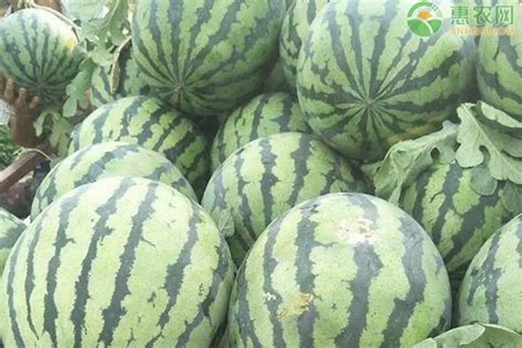 怎么样才能快速的去溶解磷酸二氢钾？