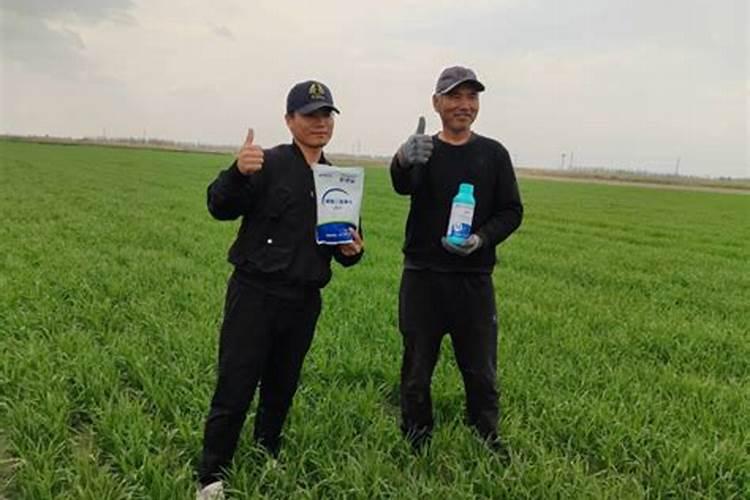 小雨可以撒施冲施肥吗