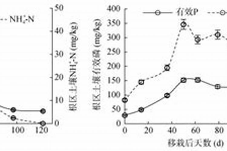 香椿需要什么肥料