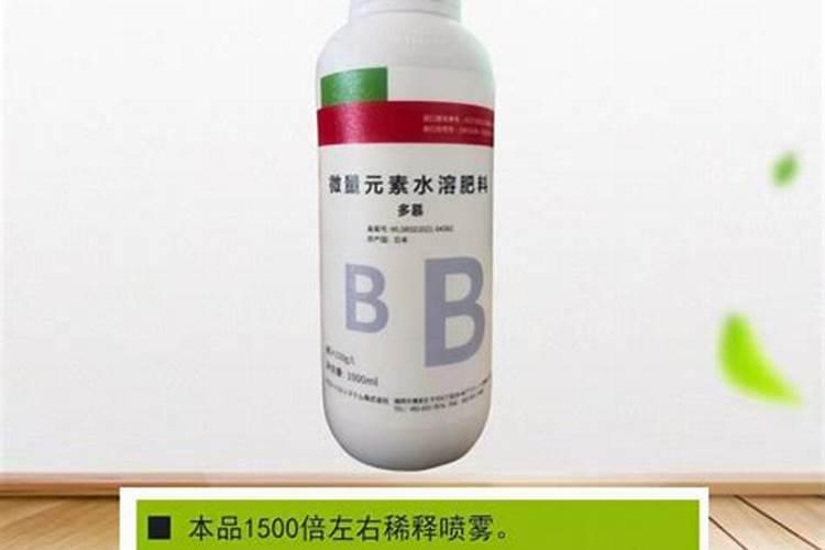 琯溪蜜柚该如何挑选？