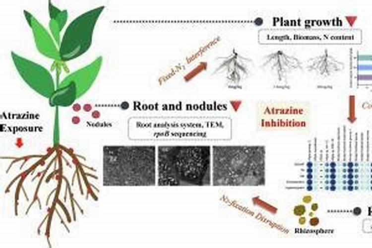 成都大棚增温王参数