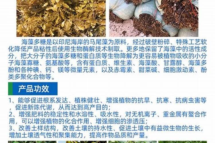 哪个水溶肥里含有多铵成份？