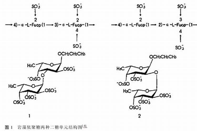 施钾对北沙参产量和多糖含量有哪些影响？