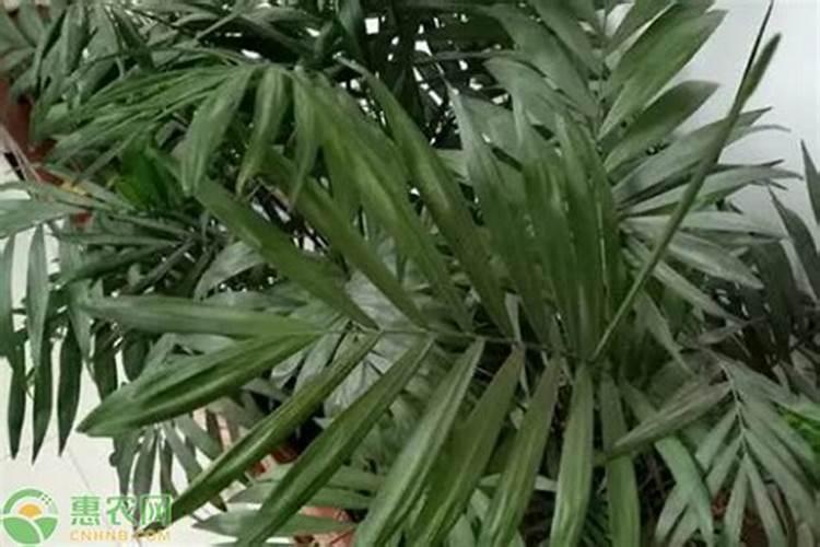 水产养殖中ph过高如何处理 水产养殖中如何分清水质的好坏