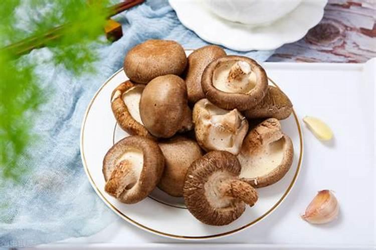 香菇蜜种植信息