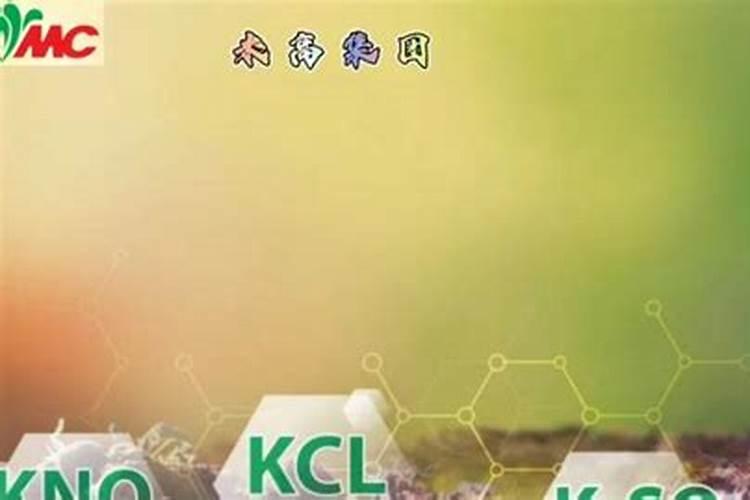 20252030年中国钾肥行业市场调研与投资预测分析报告