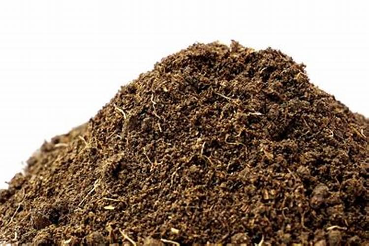 油菜饼施肥的正确方法