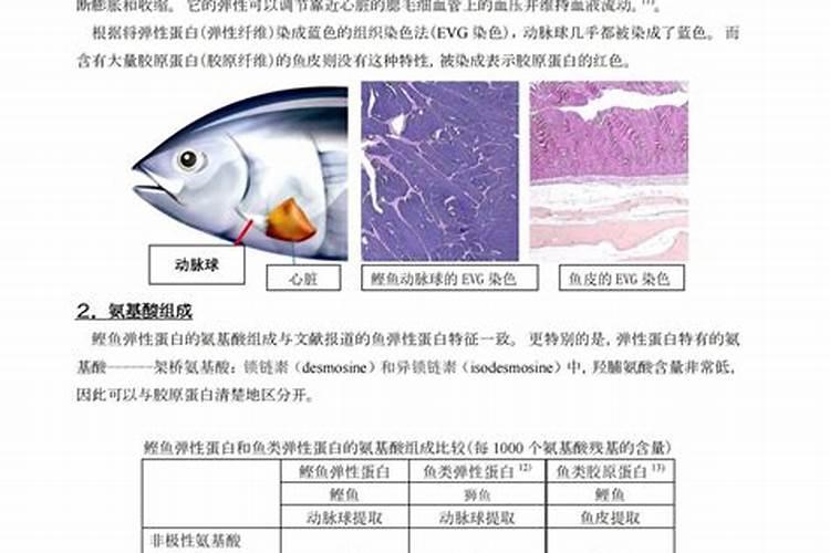 鱼蛋白肥料哪个品牌好