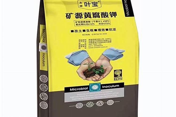 葡萄补硼的最佳时期,补硼过度会有什么影响