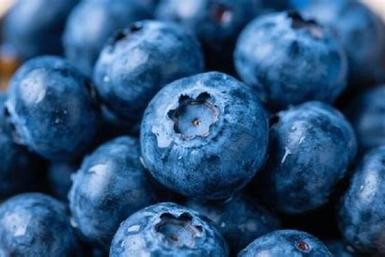 农特产品有哪些？