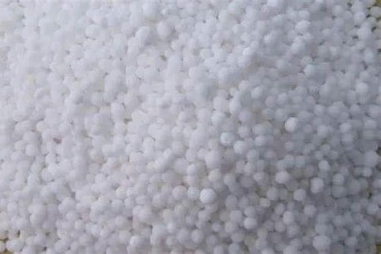 栗子和鱼能一起吃吗