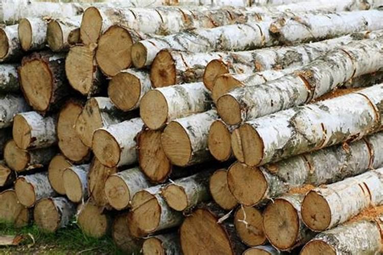 芹菜施肥方法 养殖的技巧是什么