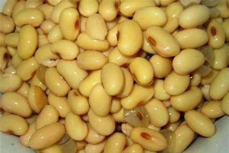 建一亩地蔬菜温室大棚造价多少钱