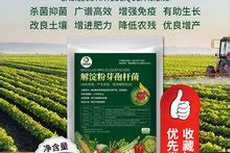 阳台种菜需哪些肥料