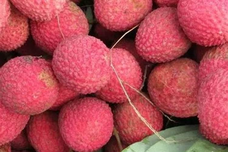 花肥的园艺肥料