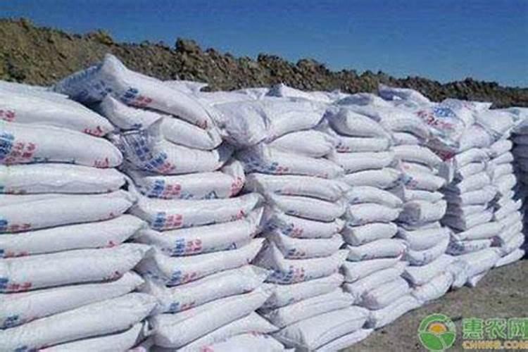 种生姜用什么肥料好