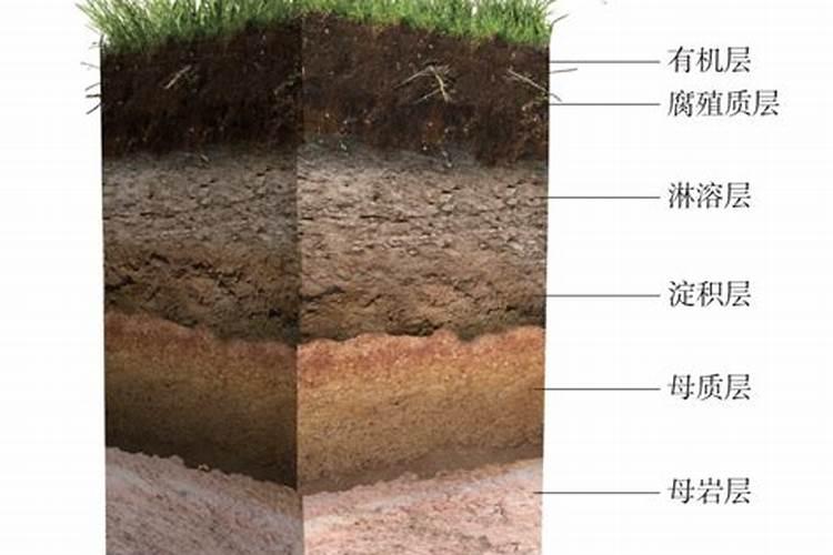 花生叶面肥用什么高产 什么时候施肥好