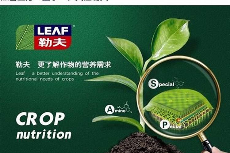 磷肥有哪些主要种类？