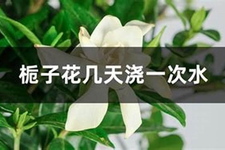 丙森霜脲氰治灰霉病吗