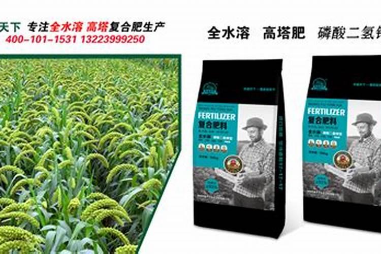 芸乐收多少钱一袋