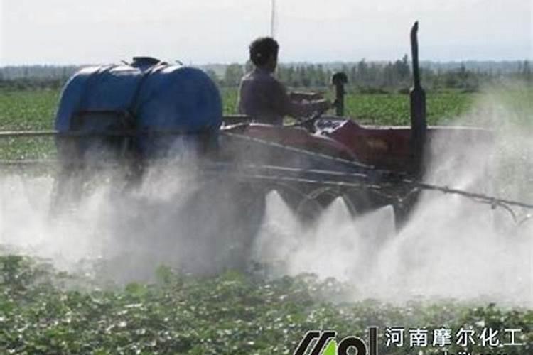 在阳台做出结实耐用的地台的方法是什么？